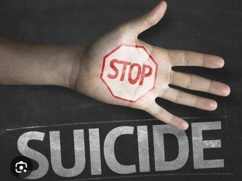 733 annual suicide cases in Sierra Leone